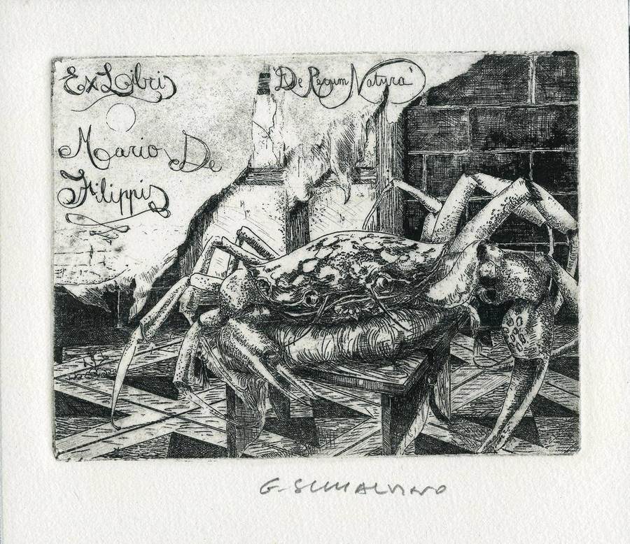 e-l-per-m-de-filippis-sogg-granchio-su-sgabello
