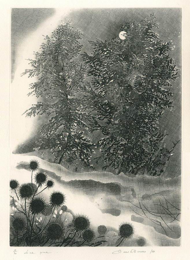 luna-piena