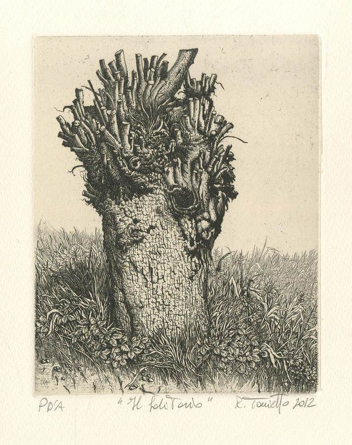 il-solitario