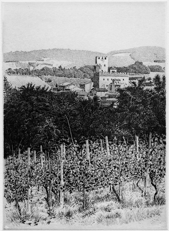 vigne-di-montepascolo