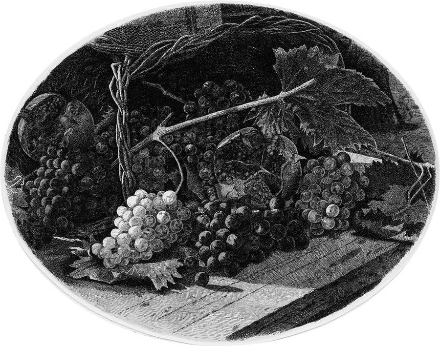 uva-e-melograni