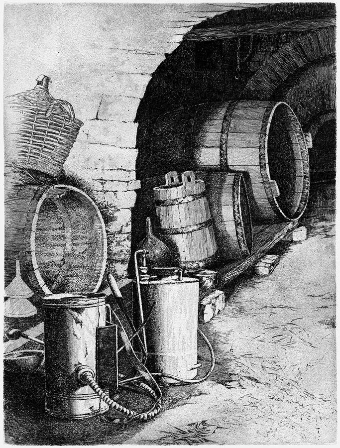 fresco-di-cantina