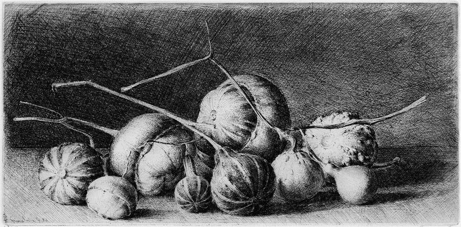 zucchine