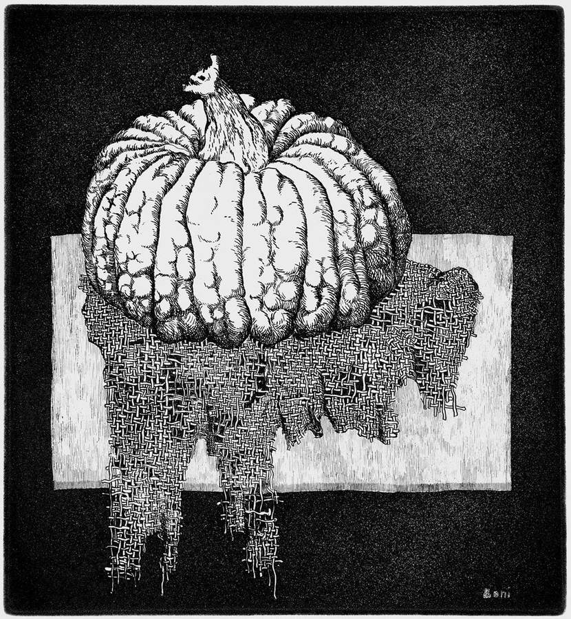 zucca