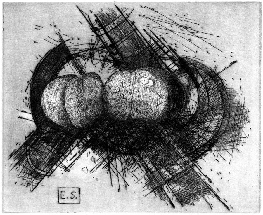 zucca